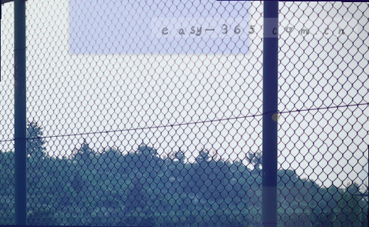 沿小径穿过垂落花枝探访